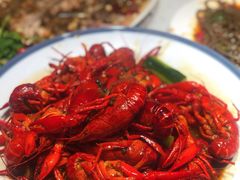 -杨氏青龙虾·羊蝎子(托乐嘉店)