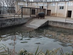 -合肥野生动物园