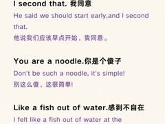 -新东方斯芬克艺术留学作品集培训(郑州校区)