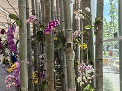 -上海鲜花港