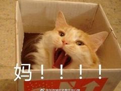 -MAX伯爵沉浸式超级游戏体验馆·实景桌游·剧本杀(小时代店)