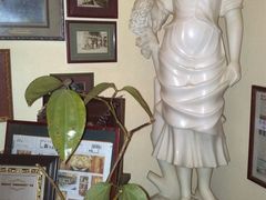 -露西亚咖啡西餐厅(哈尔滨俄侨纪念馆店)