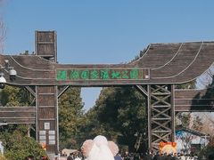 -溱湖国家湿地公园