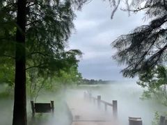 -东湖落雁景区