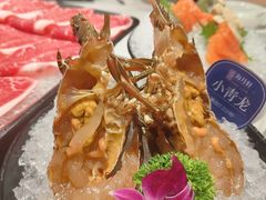 -海月轩海鲜豆捞(紫金塔店)