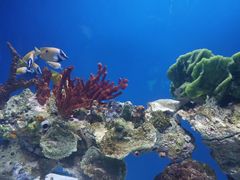 -海合安武汉极地海洋公园