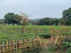 -中国茶叶博物馆(双峰馆区)