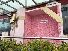 -哈根达斯(滨江店)