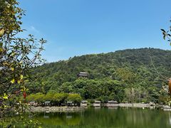 -溪霞怪石岭生态公园