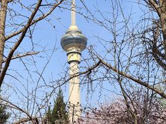 -麦当劳(军博店)