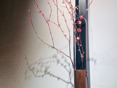 -小隐人家(乐松店)