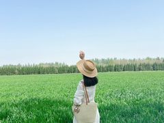 -汉长安城未央宫国家考古遗址公园