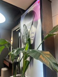 -Z.X HAIR SALON张新美业