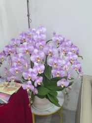 点击看大图 -丝域养发馆