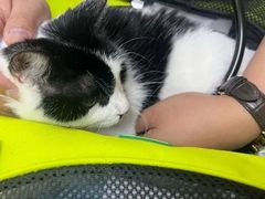-美联众合动物医院·24h京西诊疗中心