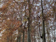 -河南省黄河迎宾馆