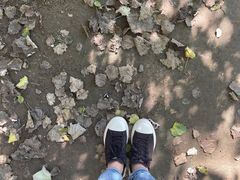 -长白岛森林公园