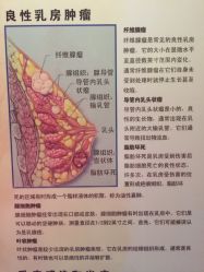 -紫琪尔胸部养护中心