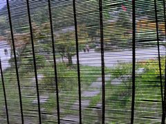 -曾福兴