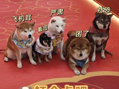 -新城市广场
