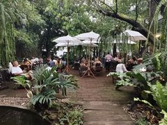 -Fern Forest Cafe
