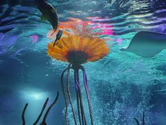 -沈阳海洋探索中心