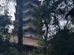 -白云山风景名胜区