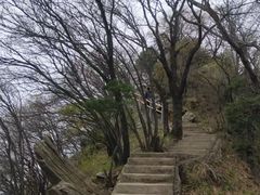 -少华山国家森林公园