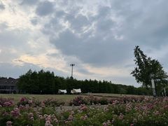 -新木器时代餐厅(太湖新天地店)