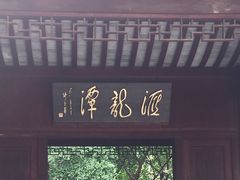 -汇龙潭