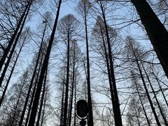 -青山公园萤火虫科普展