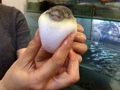 -观桥阁(锦溪店)