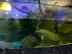 -多彩贵州城极地海洋世界