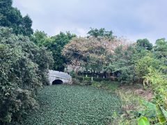 -东莞香市动物园