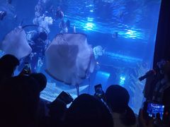 -台州海洋世界