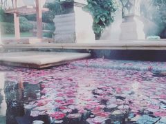 -苏州湾王焰温泉度假酒店