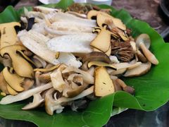 -野菌园·野生菌火锅首创第一家(关兴路总店)