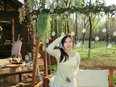 -长白岛森林公园