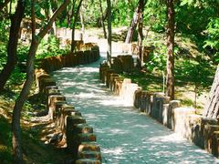 -白水寺森林公园