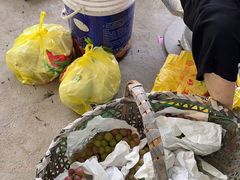 -马陆小张葡萄园农家乐