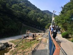 -大连森林动物园