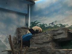 -鄂尔多斯野生动物园