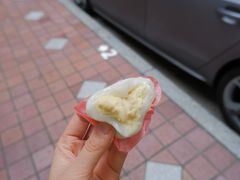 -澳门长洲糯米糍(柯打苏沙街店)