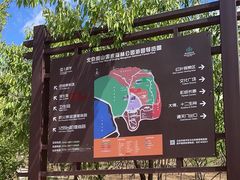-北京十三陵国家森林公园蟒山景区