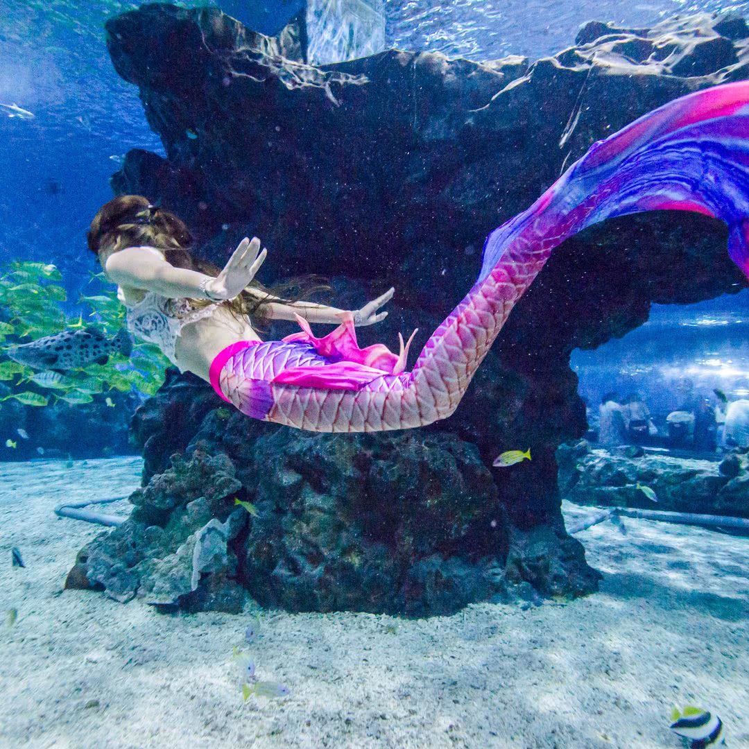 0元玩转这座城#美人鱼表演#美人鱼潜水