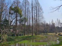 -杭州植物园
