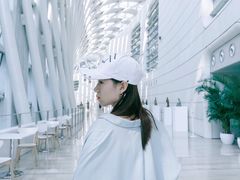 -凤凰中心