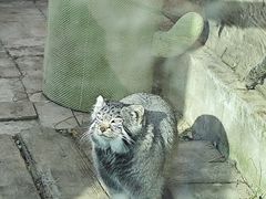 -青藏高原野生动物园