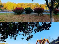 -报恩禅寺