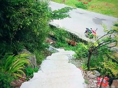 -铁道游击队纪念馆